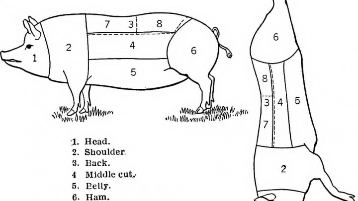 Rough Butchering Chart of a Pig